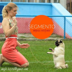 Segmento_web